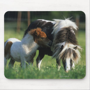 Miniature Mare & Foals 2 Mouse Mat