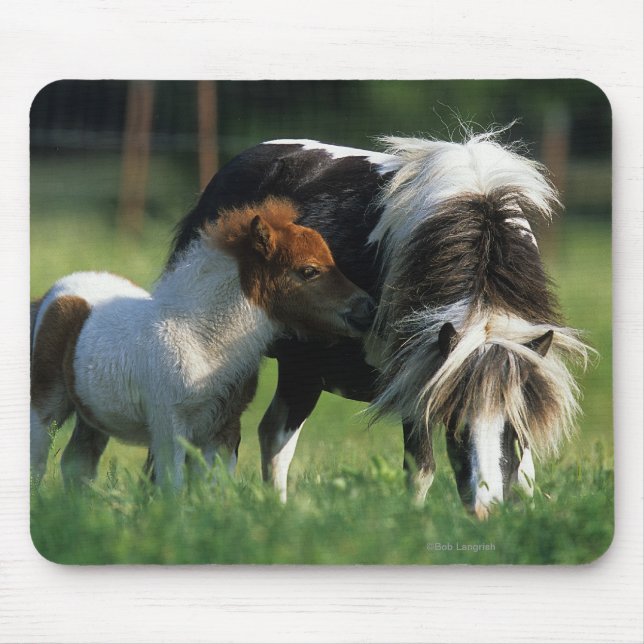 Miniature Mare & Foals 2 Mouse Mat (Front)