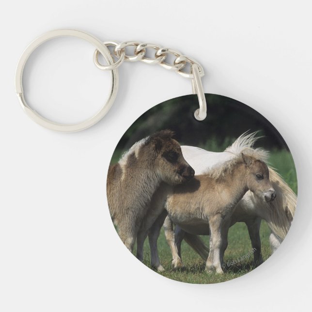 Miniature Mare & Foals 3 Key Ring (Front)