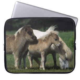 Miniature Mare & Foals 3 Laptop Sleeve
