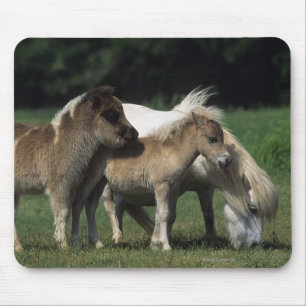 Miniature Mare & Foals 3 Mouse Mat