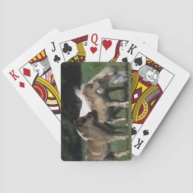 Miniature Mare & Foals 3 Playing Cards (Back)