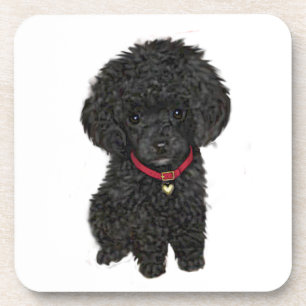 Miniature or Toy Poodle - Black 1 Coaster