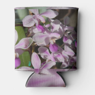 miniature orchids can cooler