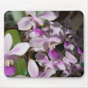 miniature orchids mouse mat