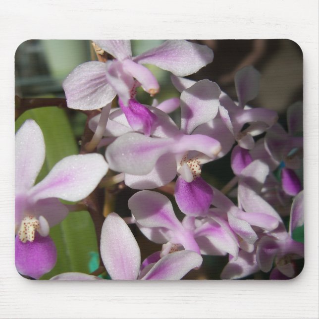 miniature orchids mouse mat (Front)