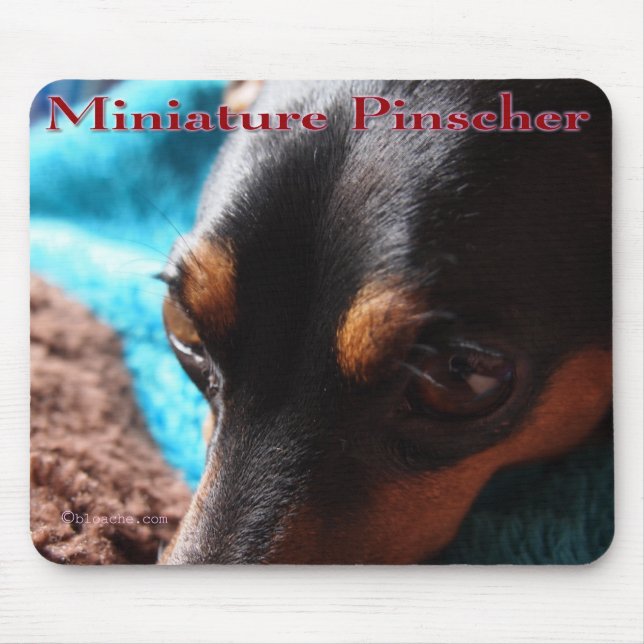 Miniature Pincher Mouse Mat (Front)