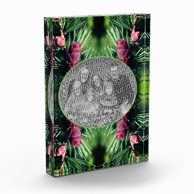 Miniature Pine Cones Frame Add Your Own Photo Block (Left)