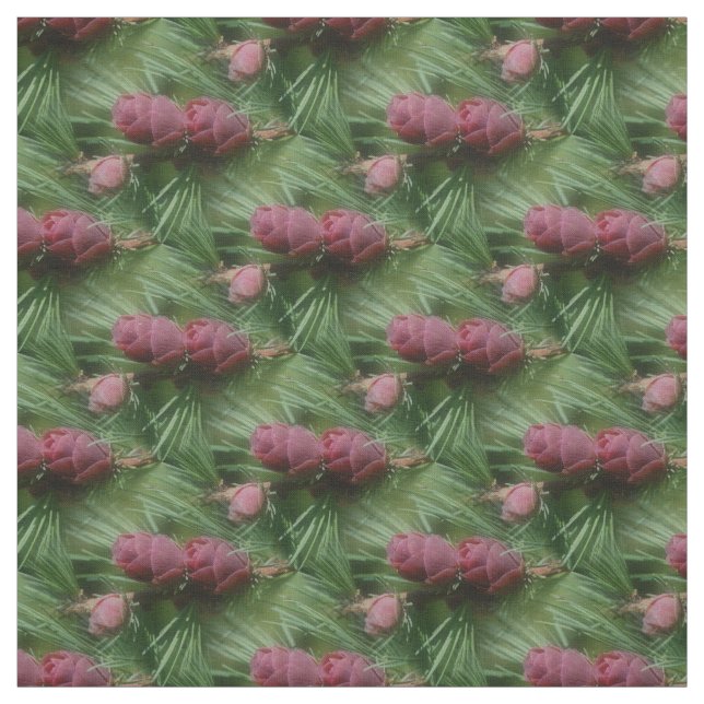 Miniature Pine Cones Nature Pattern Fabric (Swatch)