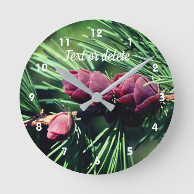 Miniature Pine Cones Personalised Round Clock (Front)