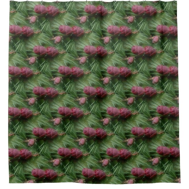 Miniature Pinecones Nature Pattern Shower Curtain (Front)