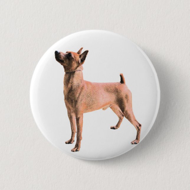 Miniature Pinscher 6 Cm Round Badge (Front)