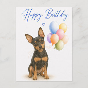 Miniature Pinscher Birthday Postcard