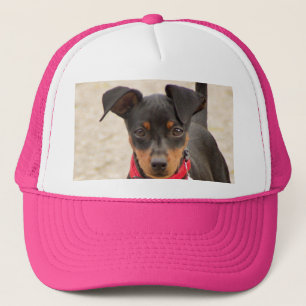 miniature-pinscher-black and rust trucker hat