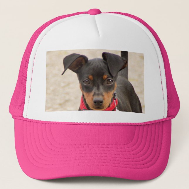 miniature-pinscher-black and rust trucker hat (Front)
