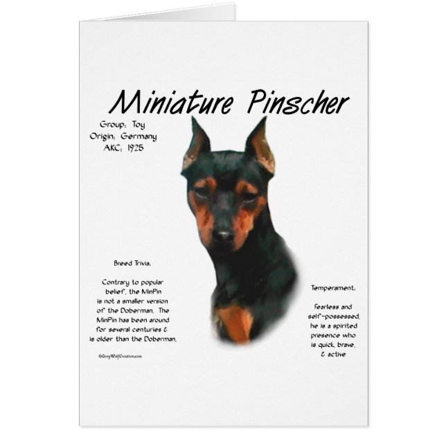 Miniature Pinscher (blk/rust) History Design (Front)