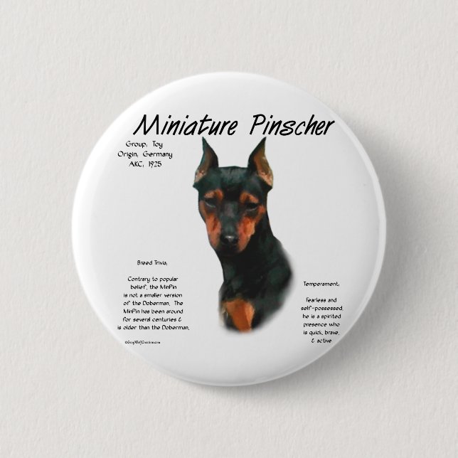Miniature Pinscher (blk/rust) History Design 6 Cm Round Badge (Front)