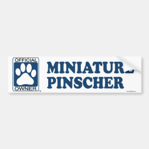Miniature Pinscher Blue Bumper Sticker