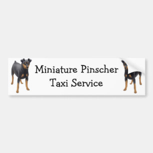 Miniature Pinscher Bumper Sticker