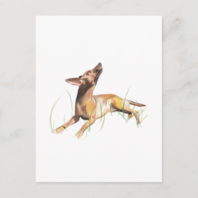 Miniature Pinscher Card, Personalised  Postcard (Front)