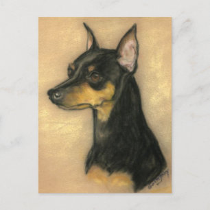 Miniature Pinscher Dog Art Postcard