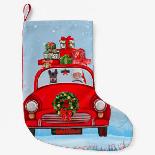 Miniature Pinscher Dog In Car With Santa Claus  Small Christmas Stocking