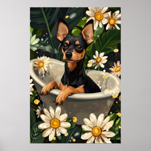 Miniature Pinscher In Bathtub Poster, Funny Dog Poster