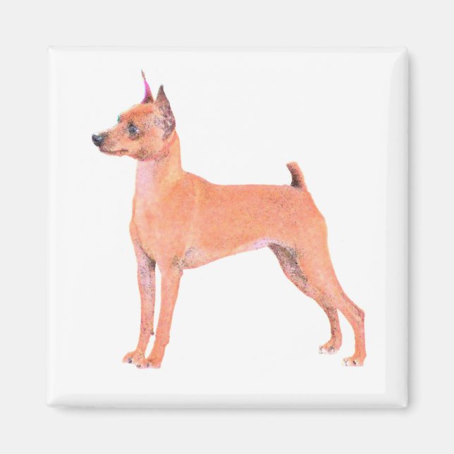 Miniature Pinscher Magnet (Front)