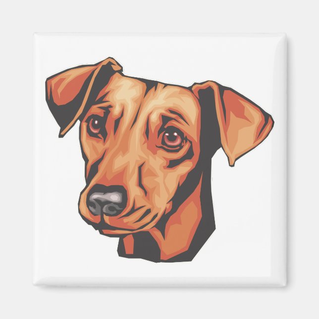 Miniature Pinscher Magnet (Front)