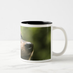 Miniature Pinscher (Min-Pin) 2 Two-Tone Coffee Mug