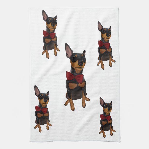 Miniature Pinscher Ts And T Ideas Zazzle Uk