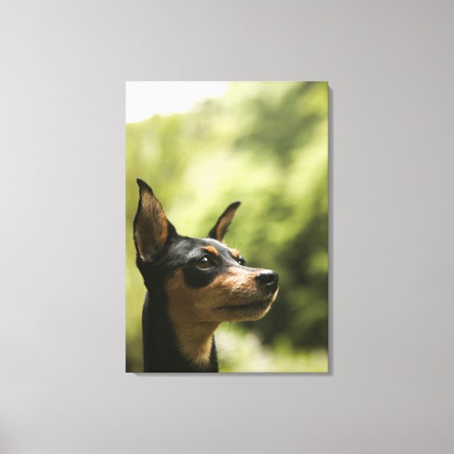 Miniature Pinscher (Min-Pin) Canvas Print (Front)