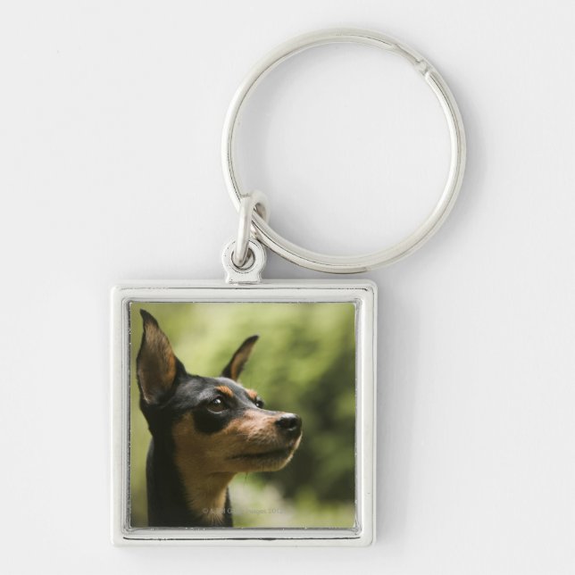 Miniature Pinscher (Min-Pin) Key Ring (Front)