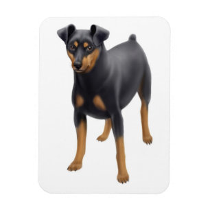 Miniature Pinscher Min Pin Premium Magnet