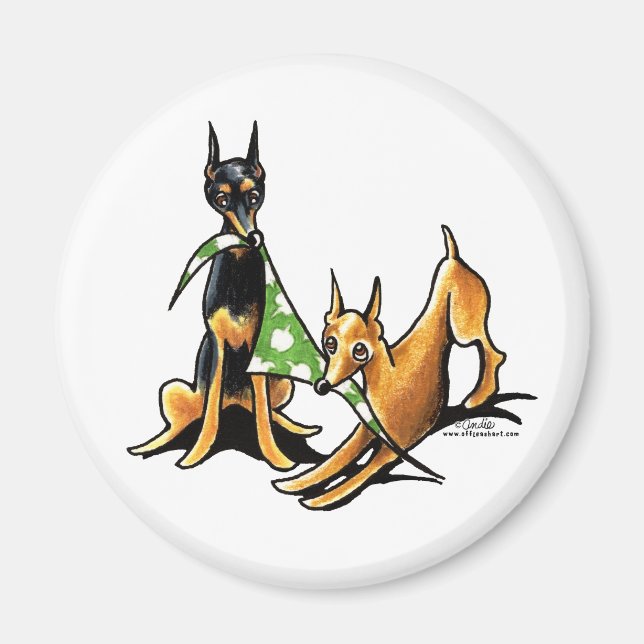 Miniature Pinscher n Apples Magnet (Front)