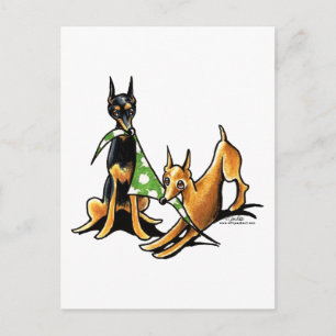 Miniature Pinscher n Apples Postcard