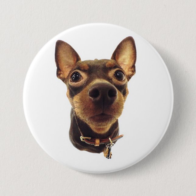 Miniature Pinscher Pin Button (Front)