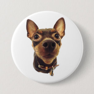 Miniature Pinscher Pin Button