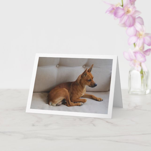 Miniature Pinscher Portrait Card (Orchid)
