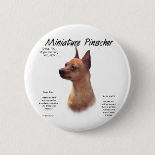 Miniature Pinscher (red) History Design 6 Cm Round Badge