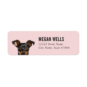 Miniature Pinscher Return Address Labels
