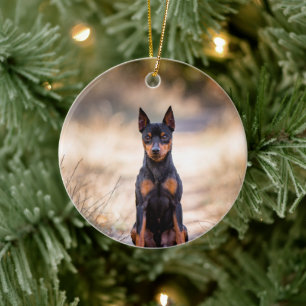 Miniature Pinscher Sitting Ceramic Tree Decoration