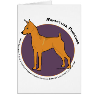 Miniature Pinscher, Stag Red