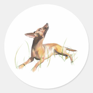 Miniature Pinscher Sticker Label