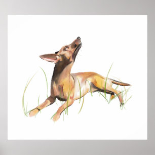 Miniature Pinscher Sticker Label Poster