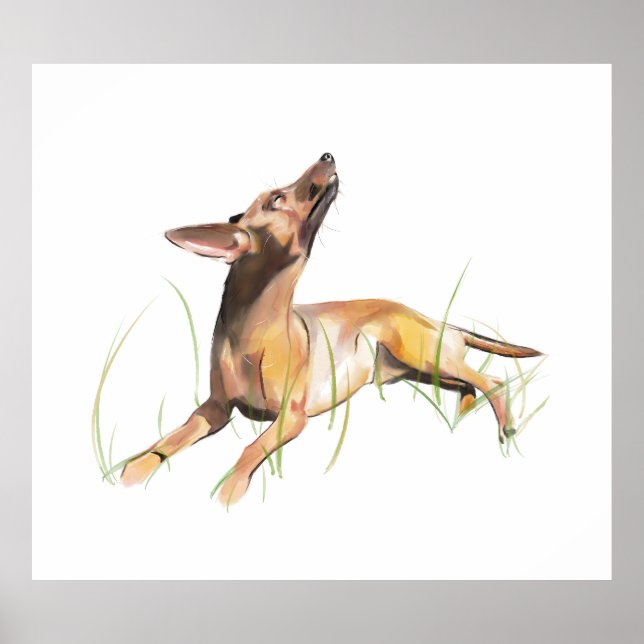 Miniature Pinscher Sticker Label Poster (Front)