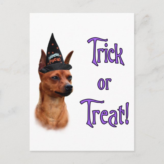 Miniature Pinscher Trick Postcard (Front)