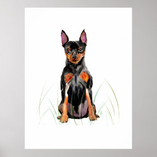 Miniature Pinscher Wall Art Poster, Min Pin Print