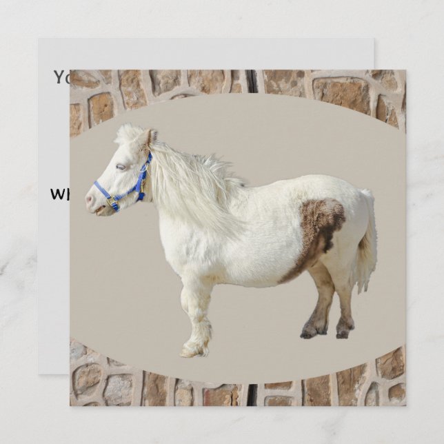 Miniature pony mini WHITE HORSE small animal Invitation (Front/Back)