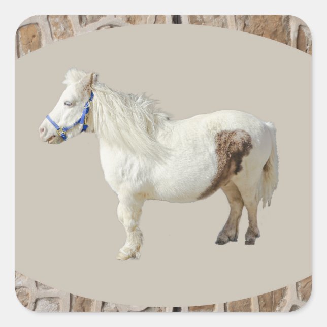 Miniature pony mini WHITE HORSE small animal Square Sticker (Front)